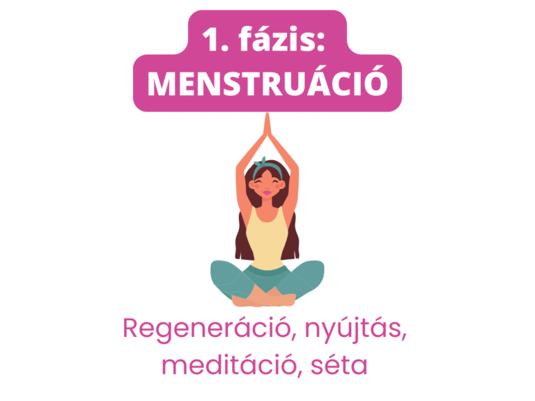 1. fázis MENSTRUÁCIÓ