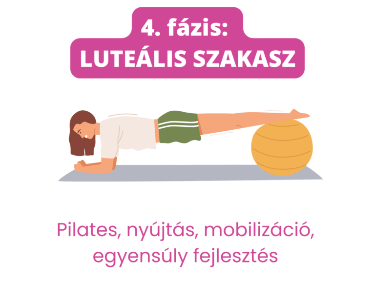 4. fázi_lutealis